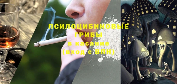 крисы Абинск