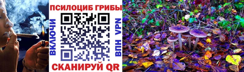 Псилоцибиновые грибы ЛСД  Томилино 